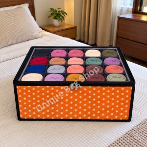 Premium 20 Grids Organizer With Transparent Zipper Cover